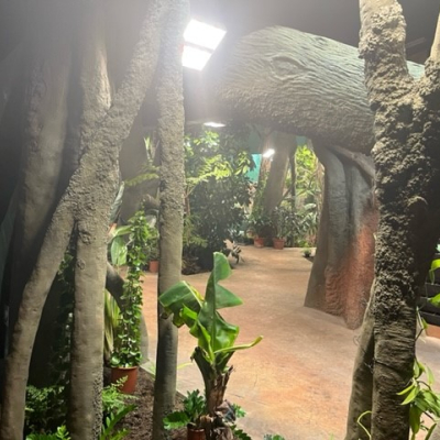 ZOO PRAHA TROJA - PAVILIONUL GORILA