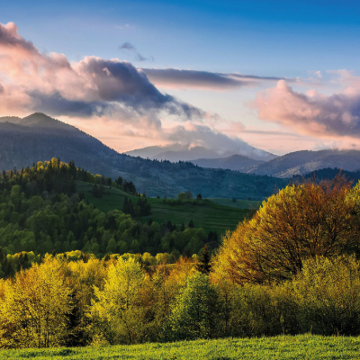 NE GÂNDIM LA GENERAȚIILE VIITOARE