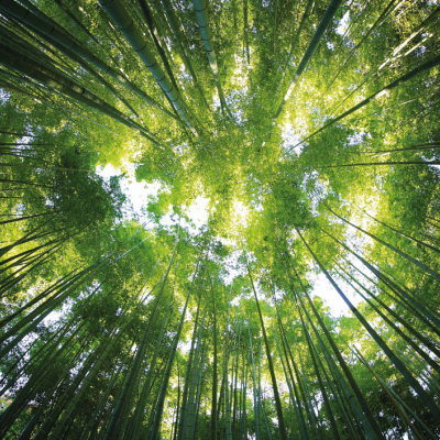 NE GÂNDIM LA GENERAȚIILE VIITOARE